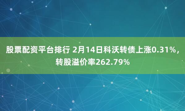 股票配资平台排行 2月14日科沃转债上涨0.31%，转股溢价率262.79%