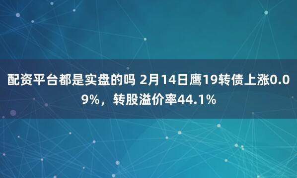 配资平台都是实盘的吗 2月14日鹰19转债上涨0.09%，转股溢价率44.1%