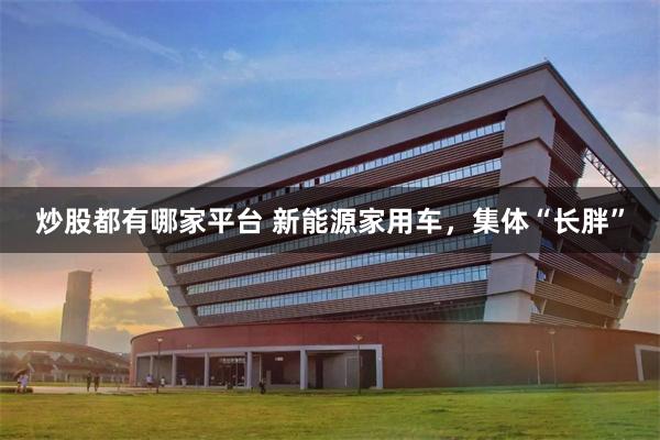 炒股都有哪家平台 新能源家用车，集体“长胖”