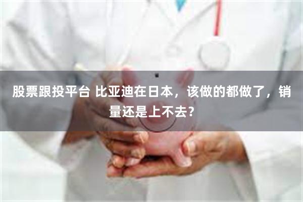 股票跟投平台 比亚迪在日本，该做的都做了，销量还是上不去？