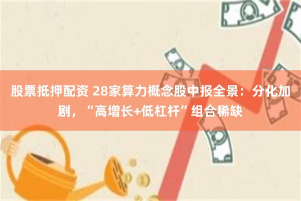 股票抵押配资 28家算力概念股中报全景：分化加剧，“高增长+低杠杆”组合稀缺