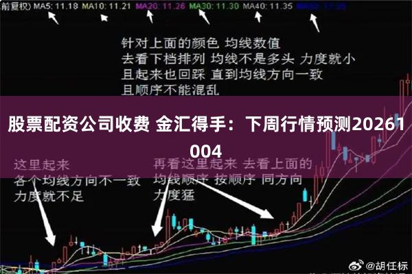 股票配资公司收费 金汇得手：下周行情预测20261004